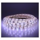 Bandeau LED 6000K 5 m 60 LED/m 24W IP65 PU