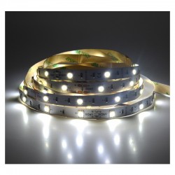 Bandeau LED 6000K 5 m 30 LED/m 36W IP20 - 24V