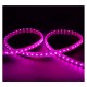 Bobine LED 5050 RGB 1 mètre 8w/m 230V ip65 alimentation