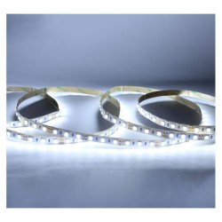 Bandeau LED 6000K 5m 60 LED/m 9W/m IP54 - 24V