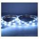 Bandeau LED RGB6000K 5m 60 LED/m 9W/m IP67 - 24V