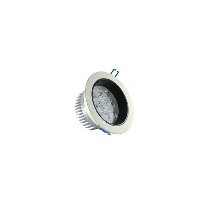 Down Light Orientable 12W Blanc froid