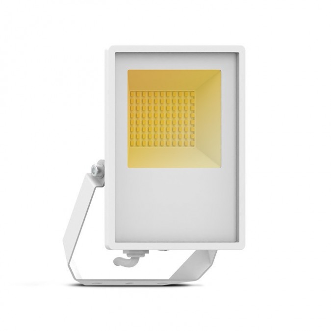 Projecteur LED Blanc 50W CCT IP65