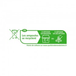 Ampoule LED E27 Bulb Filament Dimmable 8W 2700K
