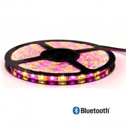 Rallonge 5m Ruban LED RGBW Connecté Bluetooth