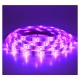 Ruban LED 7,2 Watts /m RGB - Rouleau 5M 12V - Violet IP65