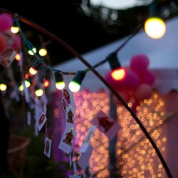 Guirlande LED Guinguette Professionnelle 10 Mètres RGB - 10 douilles + Ampoules