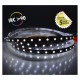 Ruban LED 10.5 Watts/m Blanc - Rouleau 5 M 12V - Blanc Froid IP20