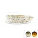 Ruban LED 12 Watts/m - 120 LED/m Blanc - Rouleau 5M 24V - Températures