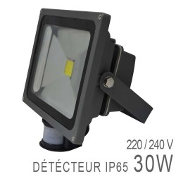 Projecteur LED COB 30W Extérieur IP65 Gris + Détecteur