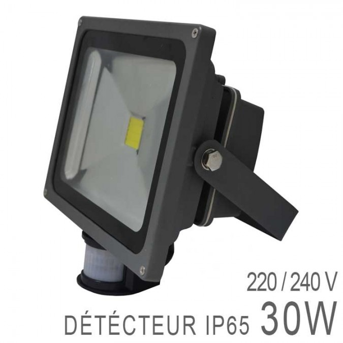 Projecteur LED COB 30W Extérieur IP65 Gris + Détecteur
